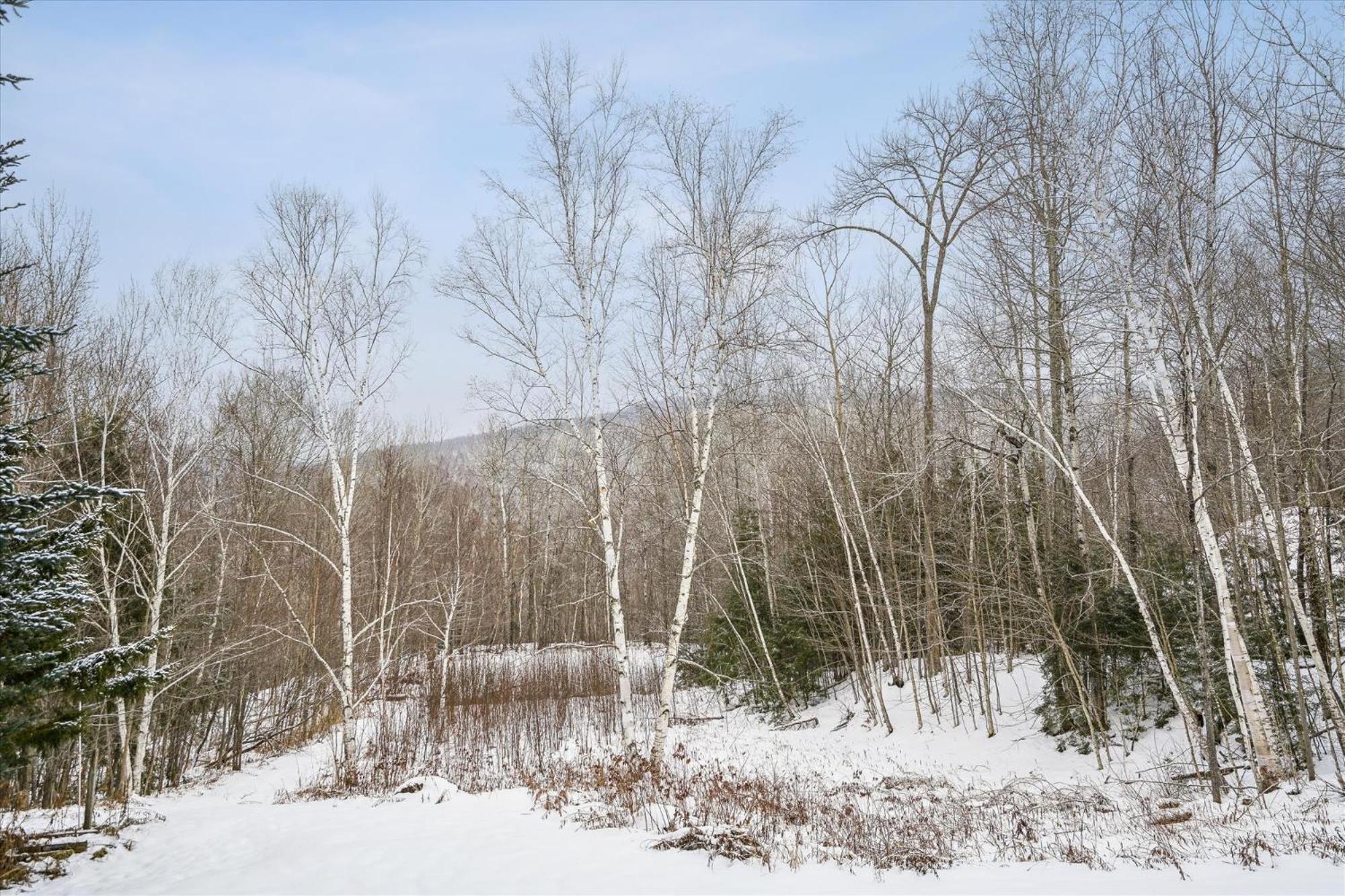 Spacious Northbrook 3 Townhouse Only 2 Miles From Restaurants & Nightlife Killington Exterior photo
